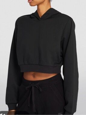Alo Yoga Cropped Sweatshirt